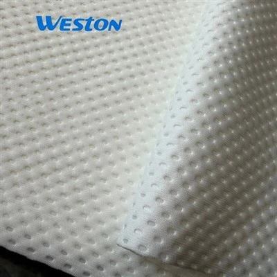 Gwo pwa Polyester Absorban Cleanroom ti sèvyèt